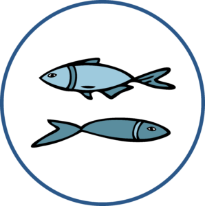 sardines portugaises